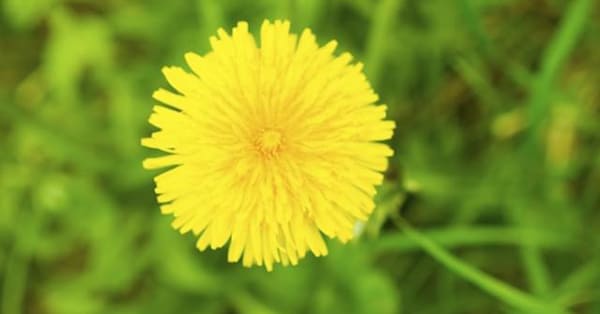 まとめ~不登校になったからといって、ネガティブになる必要はない~