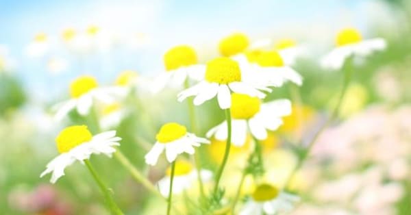 まとめ〜お子さんは、必ず「次の一歩」に進めます〜