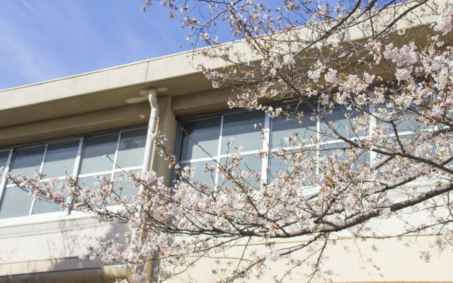 特別支援学校の高等部
