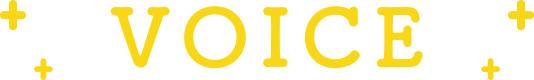 voice